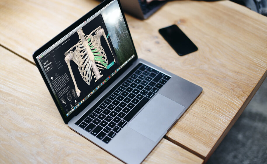 an image of a skeleton on a macbook