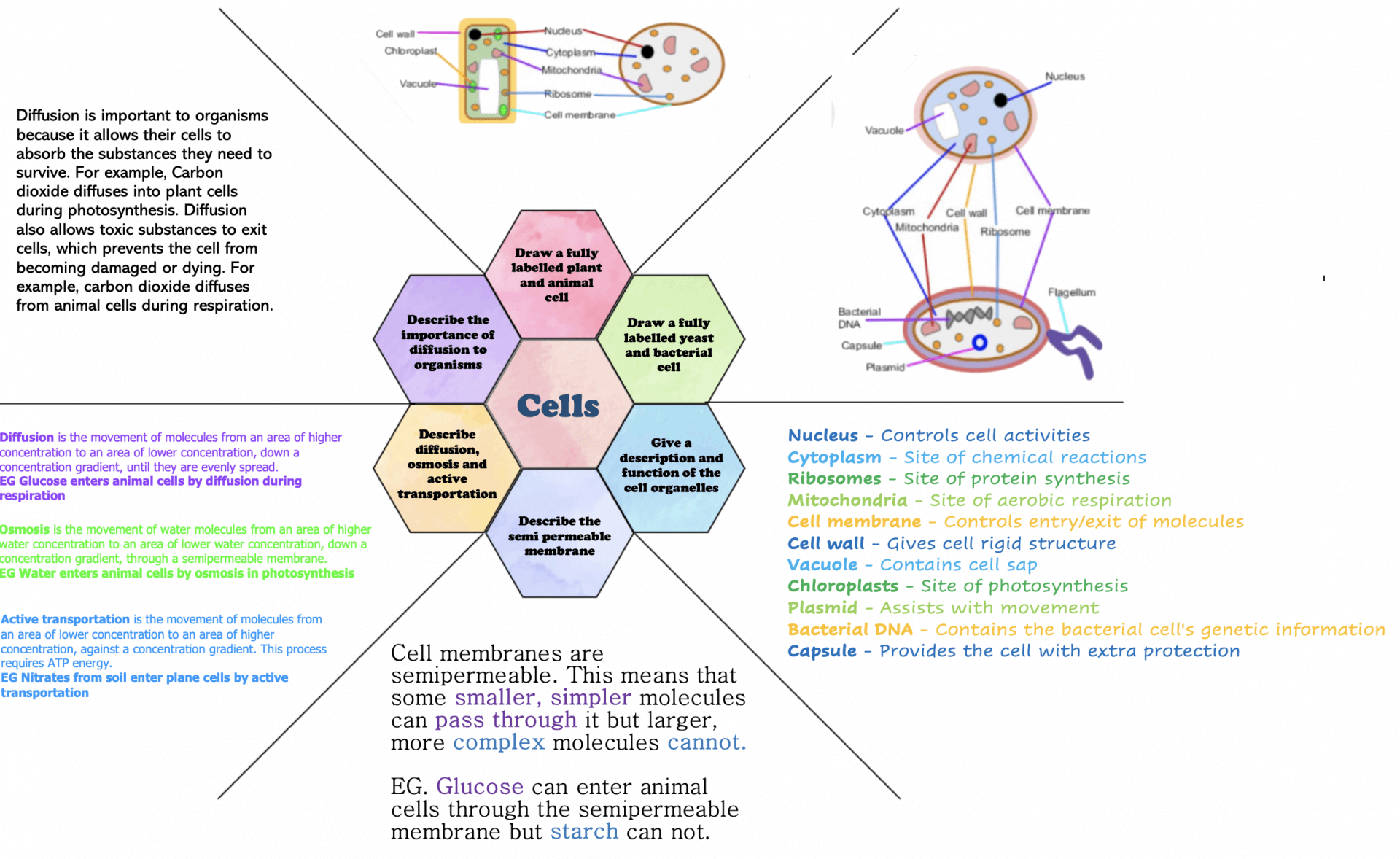 Self designed templates